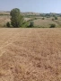  Земеделска земя, 4 дка, категория 8 , снимка 3