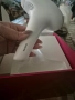 Фото епилатор Philips lumea, снимка 2