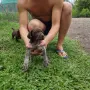 Курцхарчетаостанаха две женски, снимка 8