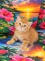 Мъжки шотландски котки, снимка 1