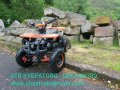 150сс АТВ/ATV Кубратово--НОВ модел АТВ 150 QUABLO Performance Platinumна едро и дребно-директен внос, снимка 4