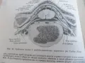 Книга..........., снимка 7