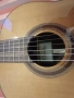 The Cordoba C7 Cedar Classical Guitar Класическа Китара, снимка 2