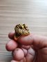 Масивен пръстен от медицинска стомана с лъвска глава 