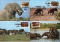 Уганда 1983 - 4 броя Карти Максимум - WWF, снимка 1 - Филателия - 38843320