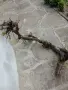 материали за аранжировки , снимка 1