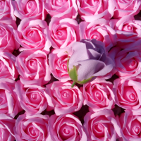 Сапунени рози, снимка 4 - Изкуствени цветя - 35947886