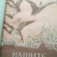 34 броя нови непопълнени (празни) покани на Български ловно-рибарски съюз БЛРС / Нашите ловни птици , снимка 3 - Специализирана литература - 41342090