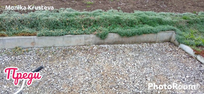 Косене на трева и други , снимка 1