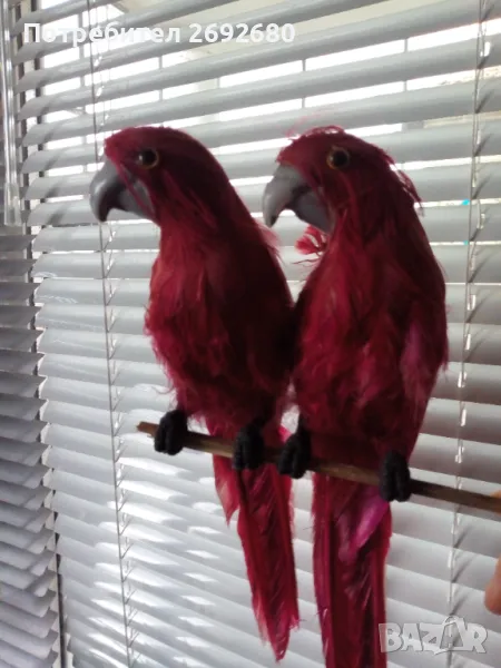 Декоративни папагалчета 2бр.(дължина - 32см.), снимка 1