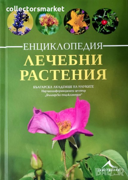 Лечебни растения, снимка 1