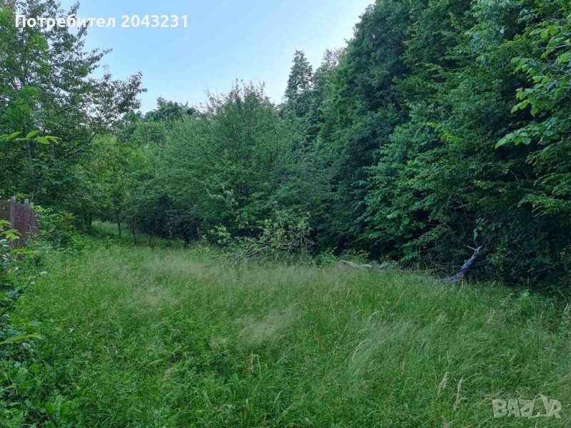 Парцел в регулация Габрово с. Мечковица, снимка 1