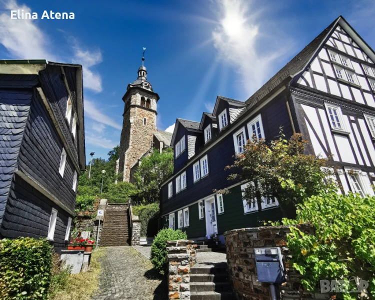 Болногледач, снимка 1