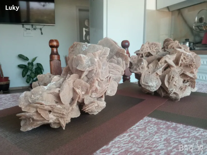 Огромни и прекрасни Пустинни рози от Сахара.Обявената цена е за двете., снимка 1