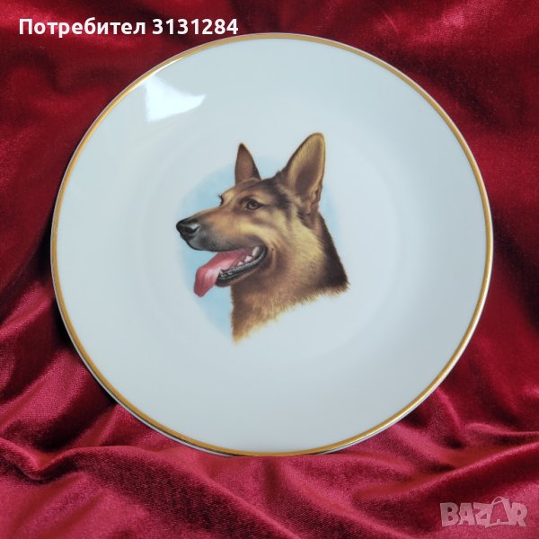 Scherzer Bavaria порцеланова декоративна чиния "Овчарка" Германия, снимка 1