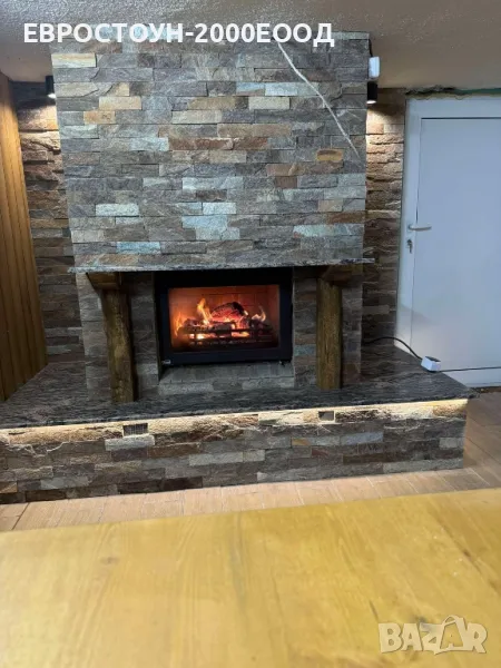 Меча кожа гнайс , снимка 1