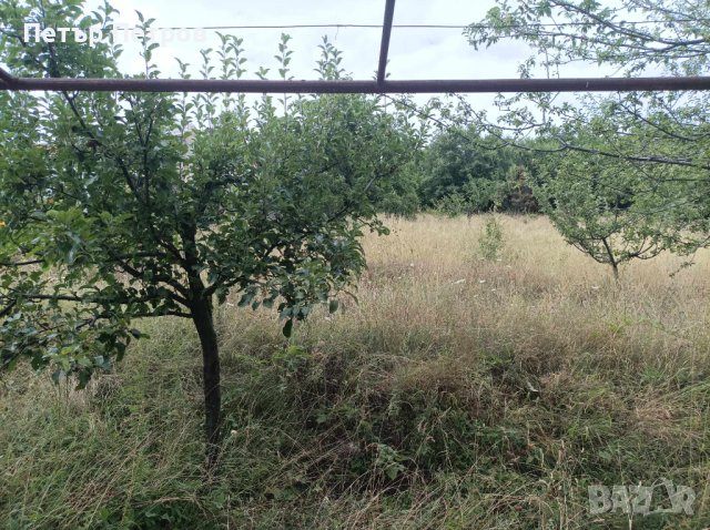 Вилa + земя 1000 KB. M., снимка 11 - Вили - 41857558