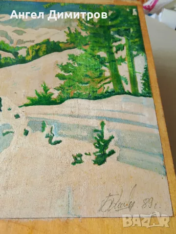 Маслена картина подписана , снимка 2 - Картини - 47290345