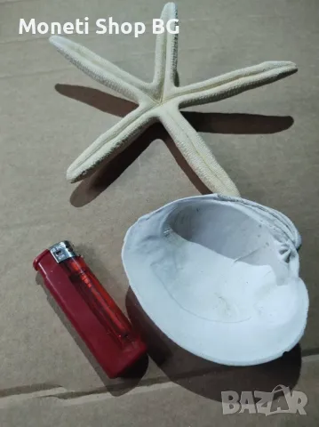 Океански дарове., снимка 2 - Декорация за дома - 48922448