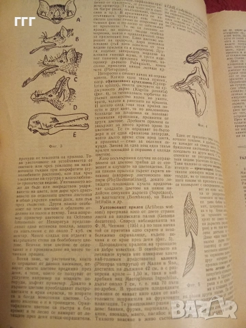 Природа и знание, снимка 10 - Списания и комикси - 53205399