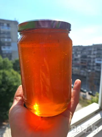 Пчелен мед Ливаден есенен букет 