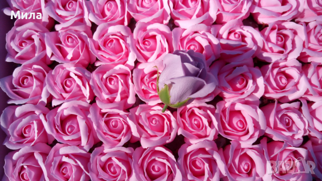 Сапунени рози, снимка 3 - Изкуствени цветя - 35947886