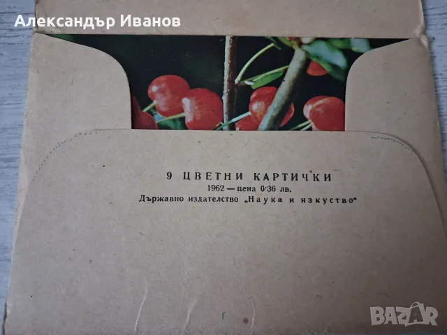 Комплект стари,пощенски картички"Плодове" 1962 г., снимка 2 - Колекции - 55867010
