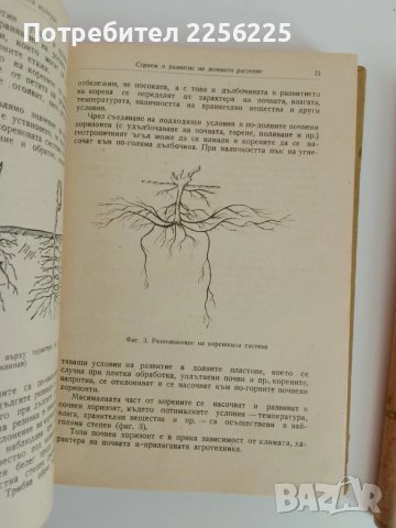 Лозарство 1957г (1и2 част), снимка 3 - Специализирана литература - 51113627