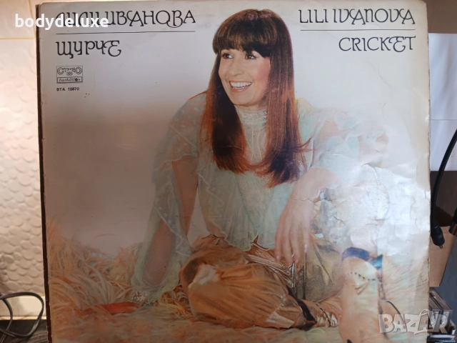 винилови грамофонни плочи, снимка 9 - Грамофонни плочи - 35786118