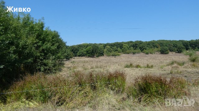 Продавам парцел в село Синеморец, м-ст Бутамята, снимка 5 - Парцели - 37789225