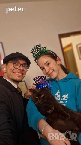 опитен счетоводител извършва услуги и данъчни защити 