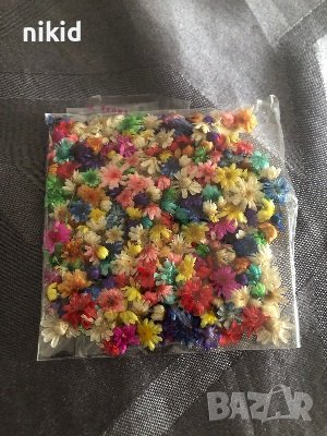 100 бр миниатюрни Сухи сушени цветя декоративни декорация за нокти маникюр бижута и сапун смола, снимка 6 - Изкуствени цветя - 35753203