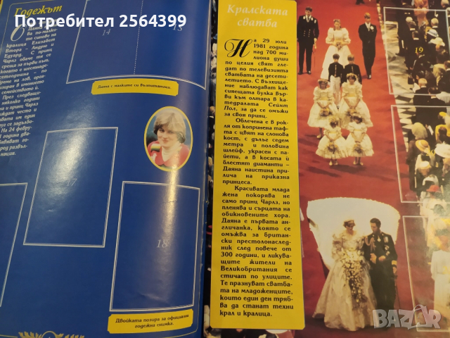 Албум за лепенки за принцеса Даяна, снимка 2 - Колекции - 52325409