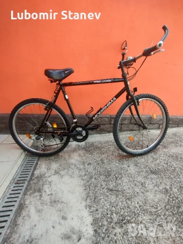 Morishima Free Living, снимка 1