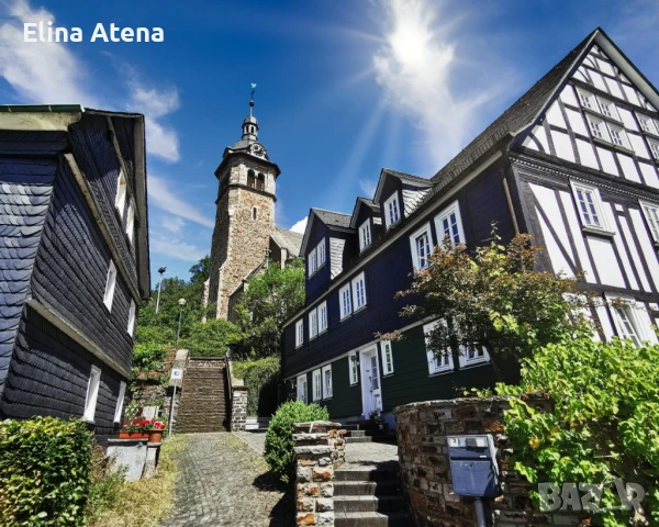 Болногледач, снимка 1