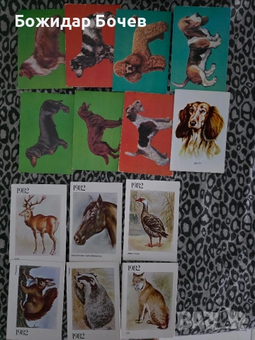 Календарчета- Футбол, Балкан, Пайнер , снимка 4 - Колекции - 53294962