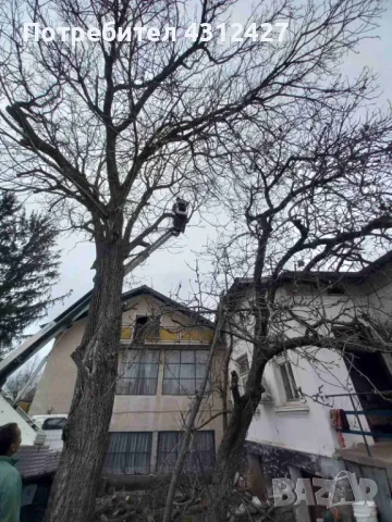 Услуги с автовишка , снимка 3 - Индустриална техника - 48128050