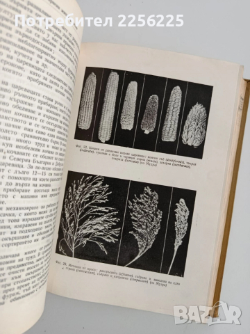 Растениевъдство 1957г, снимка 3 - Специализирана литература - 52677954