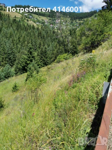 Парцел, село Зорница, обл.Смолян, снимка 3 - Парцели - 53403883