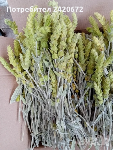 био мурсалски чай на едро и дребно, снимка 8 - Други - 53324891