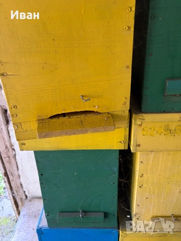 5 рамково съндъчето за отводки, снимка 2 - За пчели - 53742203