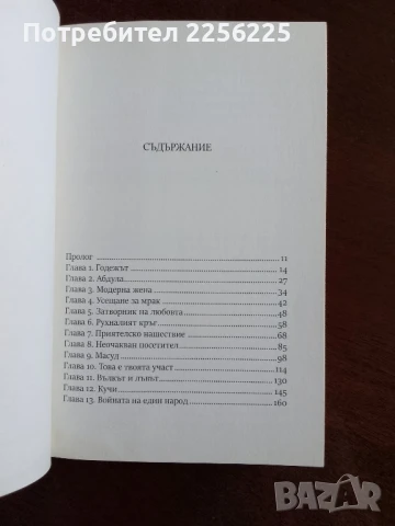 Как летят птиците, снимка 9 - Художествена литература - 50844631