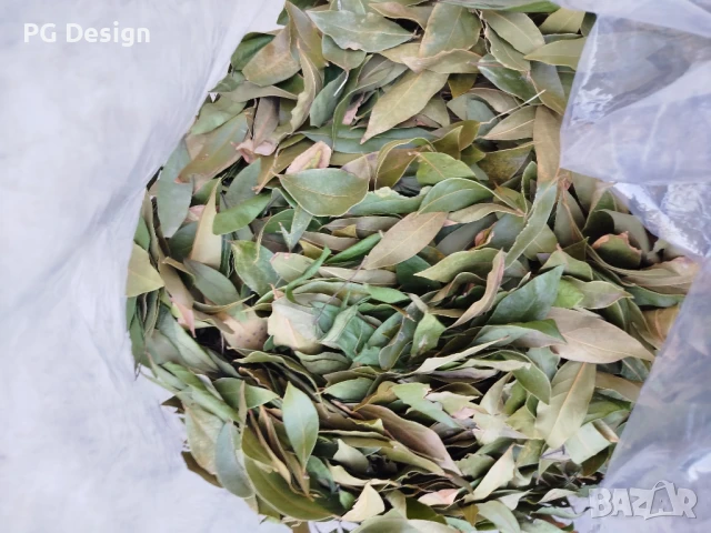 Дафинов лист