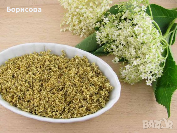 Продавам бъз сушен от чисти места - подходящ за чай , снимка 2 - Домашни продукти - 36235438