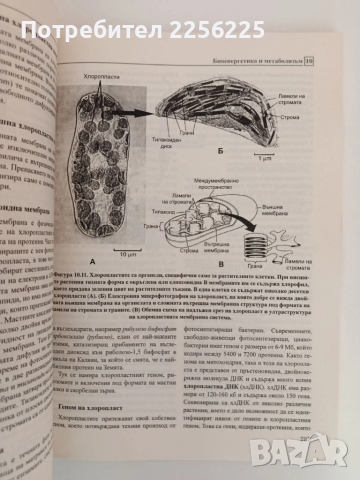 Клетъчна биология, снимка 3 - Специализирана литература - 51793671