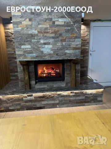 Меча кожа гнайс , снимка 1