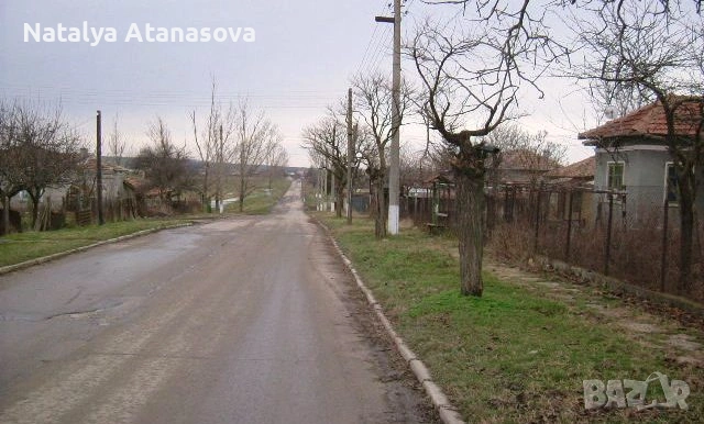 Парцел за продажба в Преспа, Добрич, снимка 5 - Парцели - 53634814