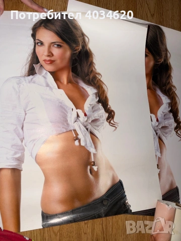 Плакати на Райна