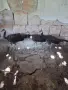 Пауни спалдинги, снимка 5