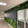 Изкуствени зелени стени , снимка 16